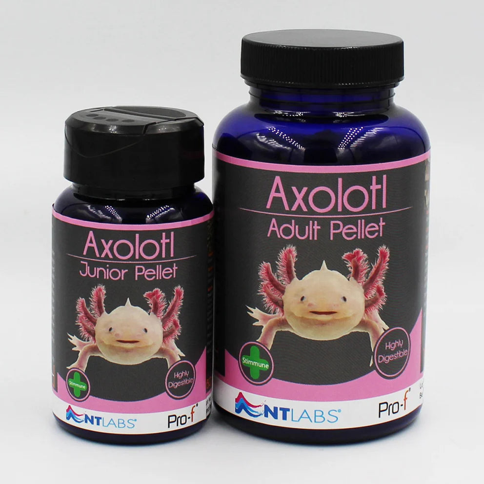 NT Labs Pro-F Axolotl Junior Pellet 60g (1.5mm)