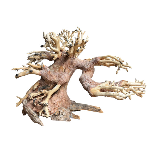 Aquarium Bonsai Tree Small 20x20cm Decoration