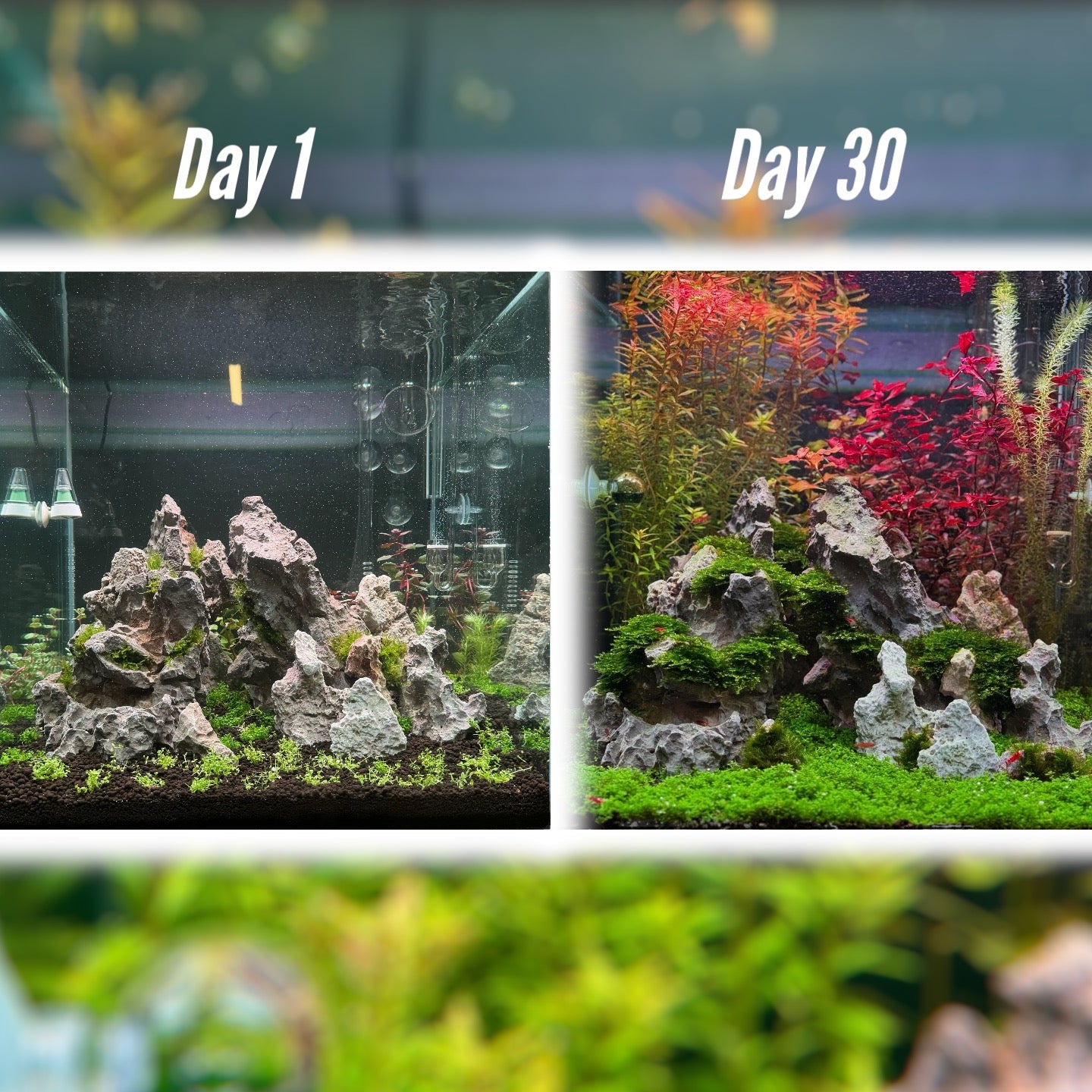 Aqua Design PLANT+ Plant Fertiliser 2500ml