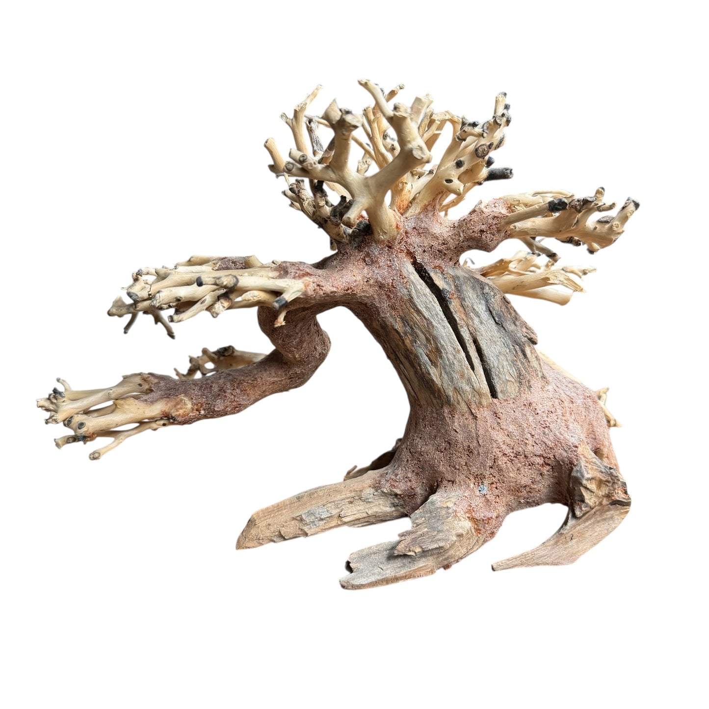 Aquarium Bonsai Tree Small 20x20cm Decoration