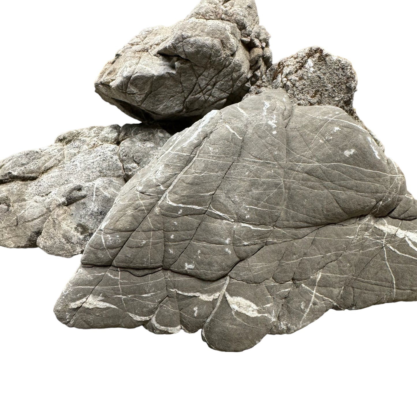 Aquarium Manten Grey Elephant Rock / Stone Per KG