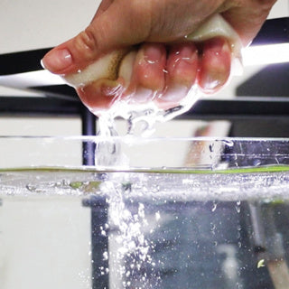 NT Labs ProCare Algae Cleaning Sponges x3