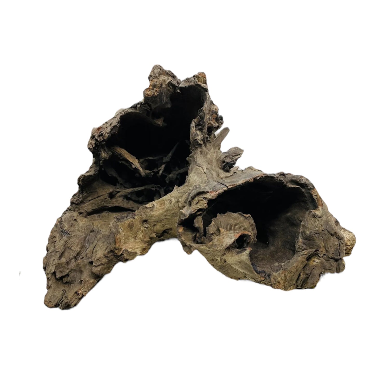 Corbo Root Catfish Wood - Large