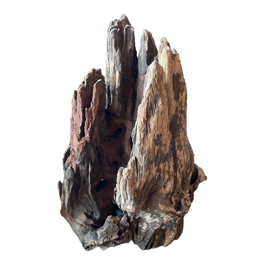 Corbo Root Catfish Wood - Large