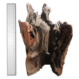 Corbo Root Catfish Wood - Large