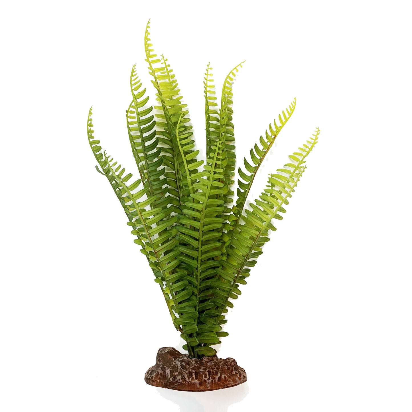 Betta Terra Reptile Decoration - Shuttlecock Fern 31cm