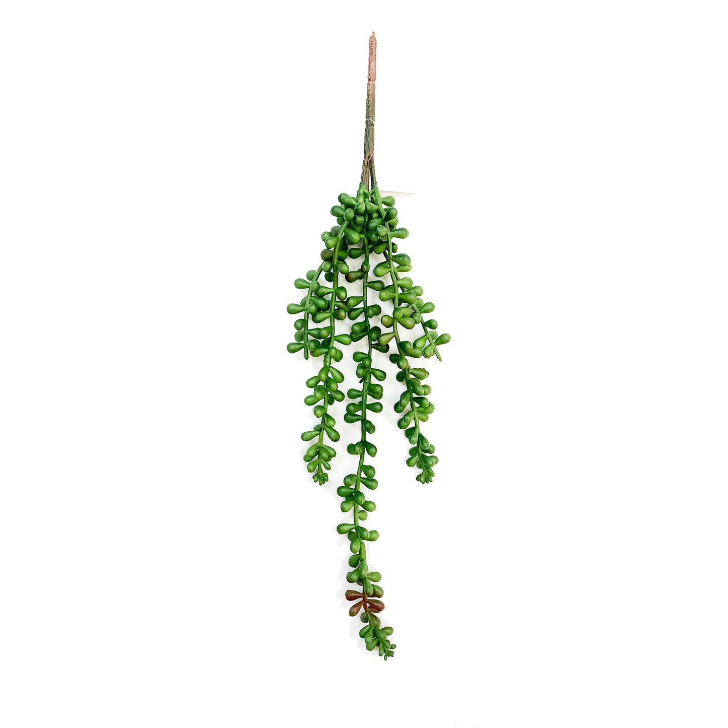 Betta Terra Reptile Decoration - Terrarium Red/Green Vine 37cm