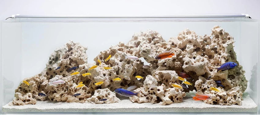 Aquarium White Holestone Per KG