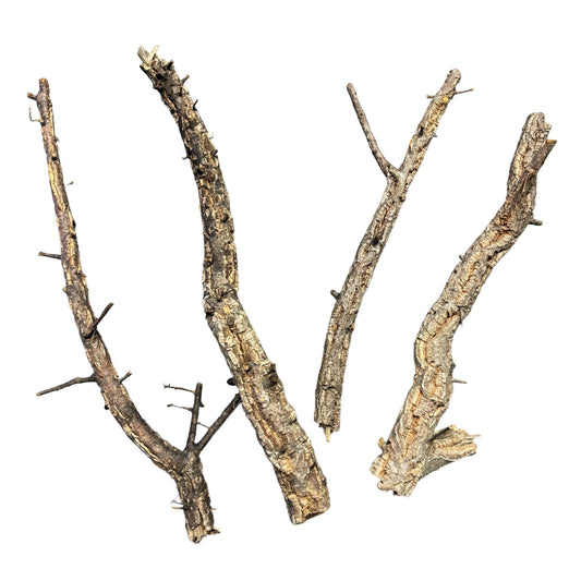 Tronchos Cork Bark Branches - Reptile - Vivarium - 40-60cm