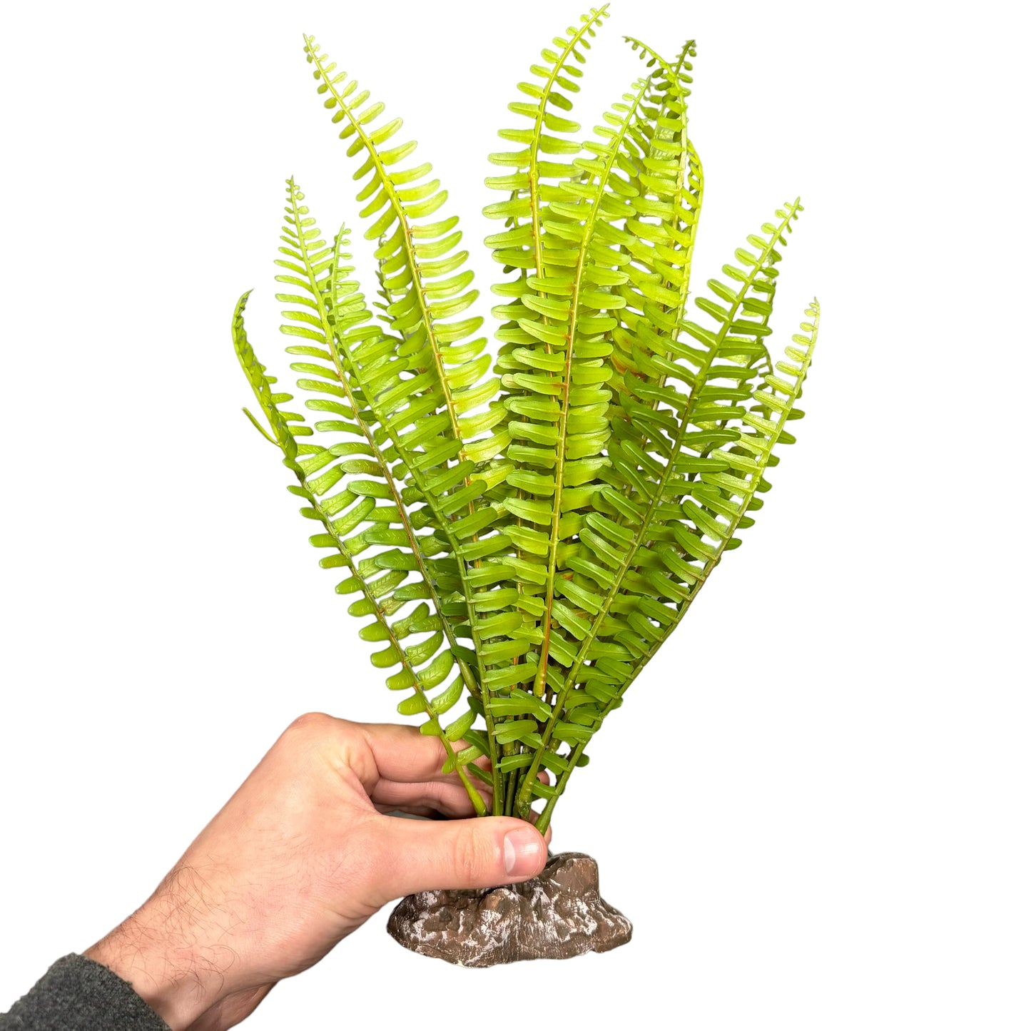 Betta Terra Reptile Decoration - Shuttlecock Fern 31cm