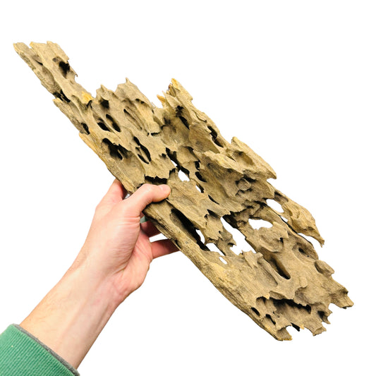 Aquarium Dragon Bogwood Honeycomb Driftwood - Medium 30cm