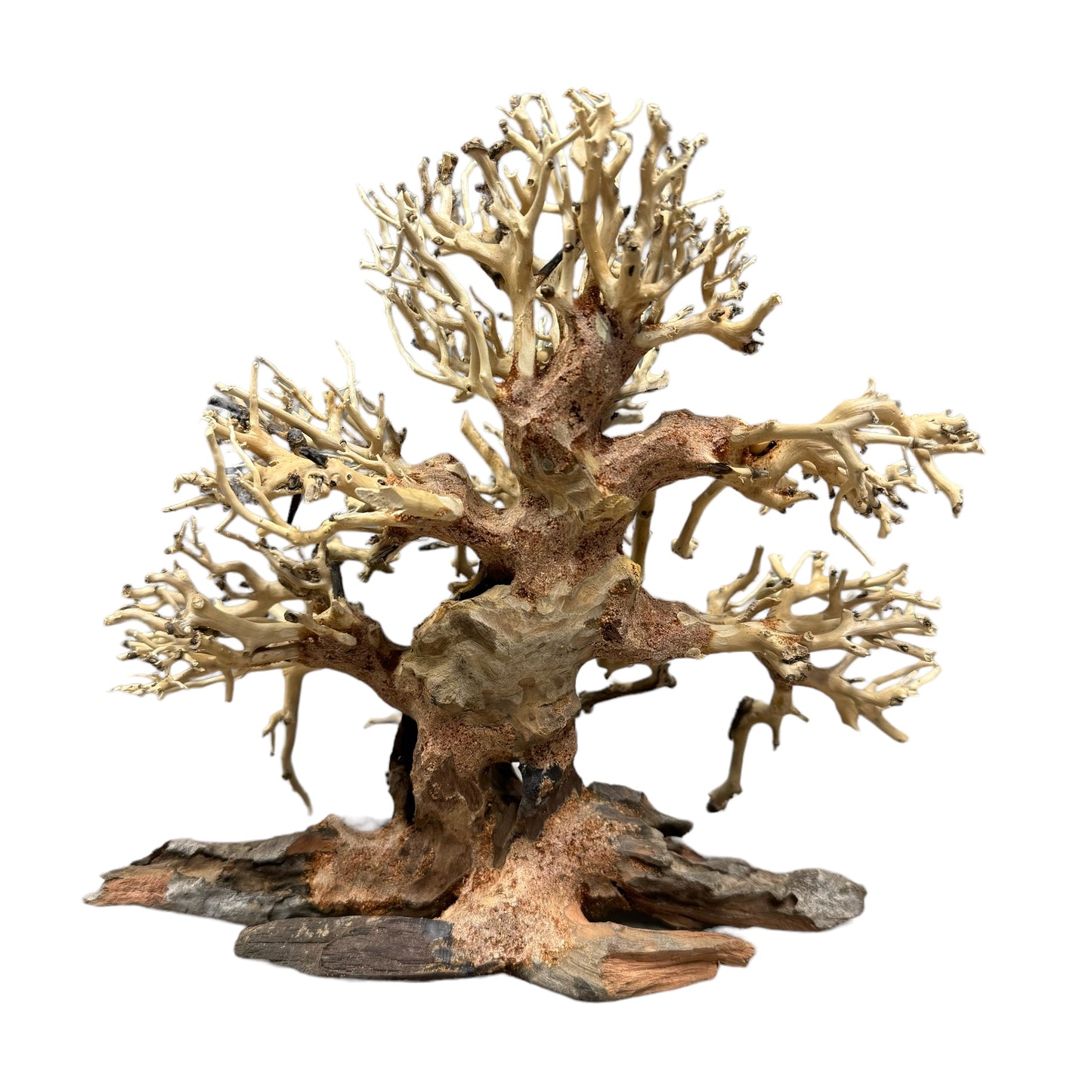 Aquarium Bonsai Tree Small 20x20cm (actual piece) A1