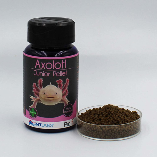 NT Labs Pro-F Axolotl Junior Pellet 60g (1.5mm)