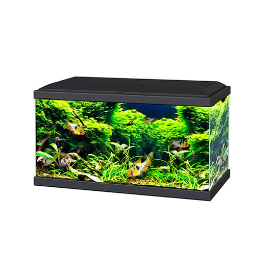 Ciano Aquarium 60 LED - Black